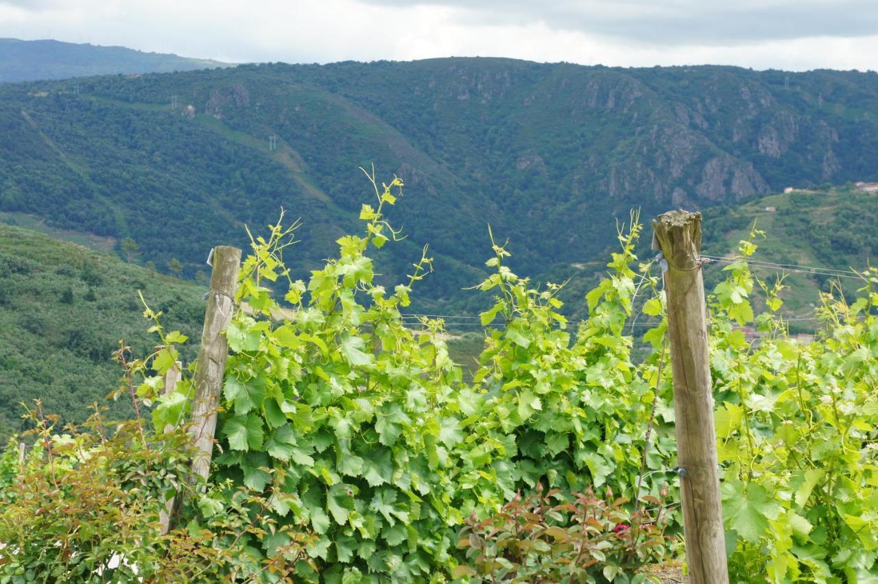 Ferienwohnung A Forxa Casa Ferrador Ribeira Sacra Sober Exterior foto